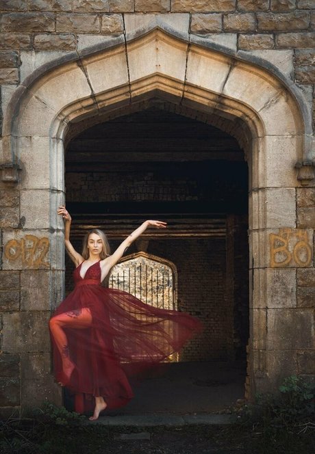 Dahlia Rex étoile hd img