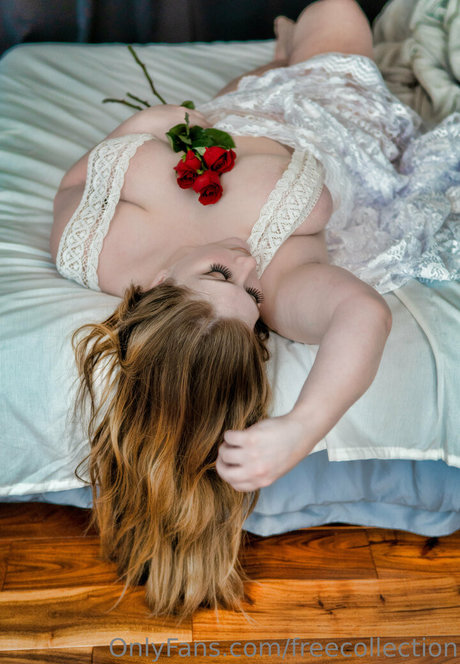 freecollection sexe star du porno collection