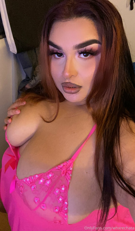 whxrechata nus de stars du porno archive