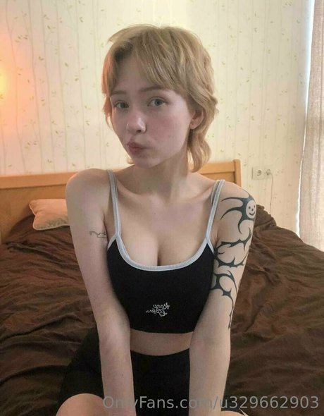 tiny tyan étoile exclusive galeries