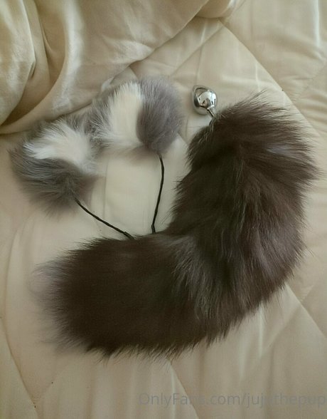 jujuthepup meilleure star du porno images