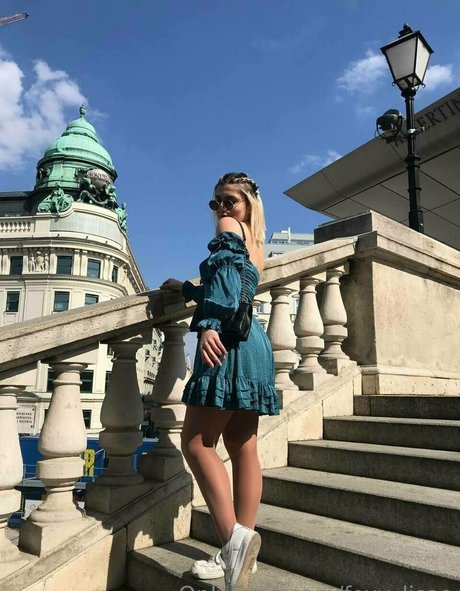 foxy lisaa étoile hd photo