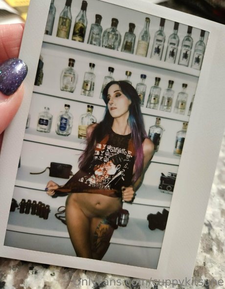 cuppykitsune étoile hd image