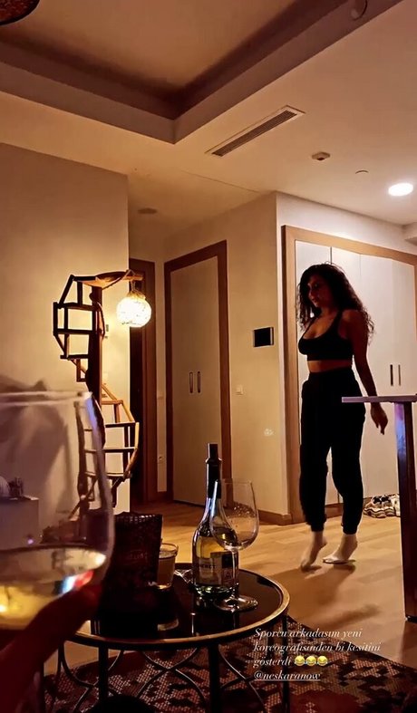 neskaranow art étoile archive