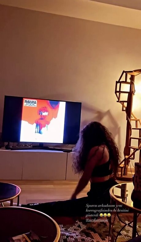 neskaranow star du porno parfaite image