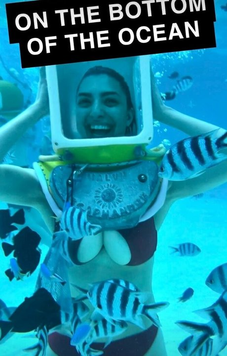 équitation accroupie uniquementfans chaud nu galerie