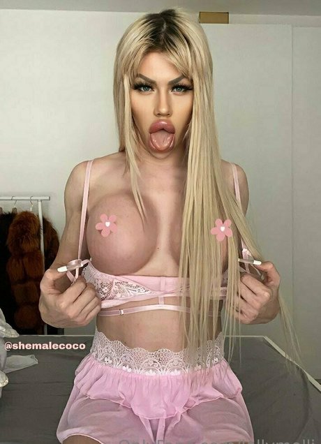 fanatique de hotwife infidèle chaud et sexy collection