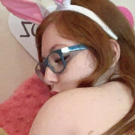 kittenginger étoile parfaite photo