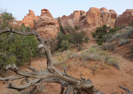 aspensnow free belle star du porno galerie