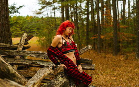 aspensnow free belle étoile images