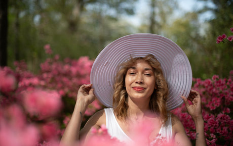 aspensnow free modèle de haute qualité galeries