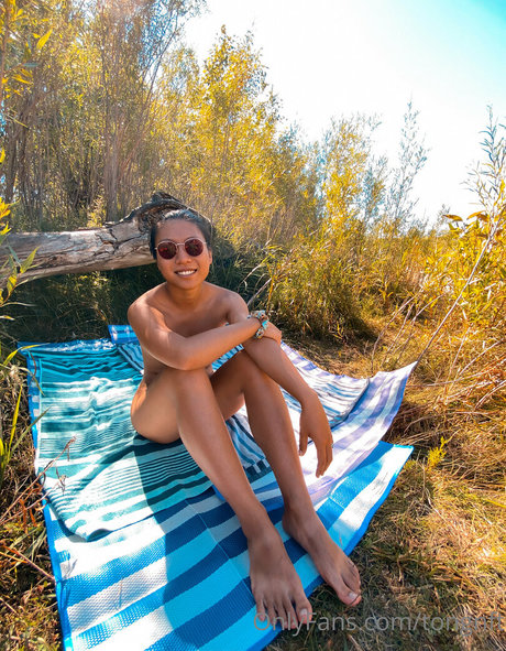 not20 star du sexe collection