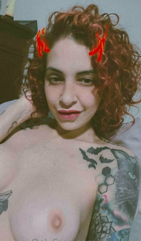 vanphell meilleure star du porno collection