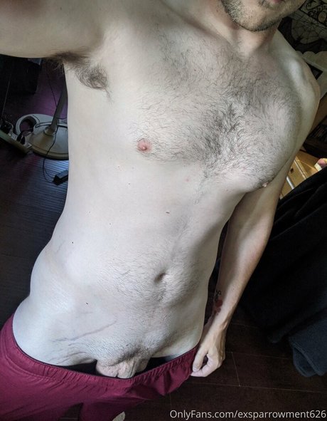 exsparrowment626 joli modèle img