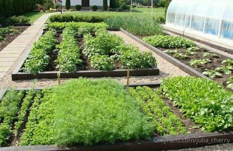 fellation transexuelle onlyfans exclusif photo