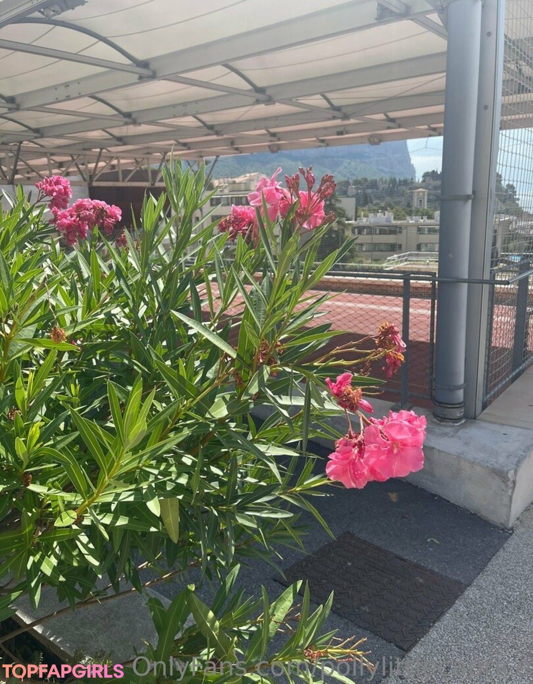 pollylittlecaprice actrice exclusive img