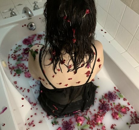 hereliesviolet belle étoile galeries