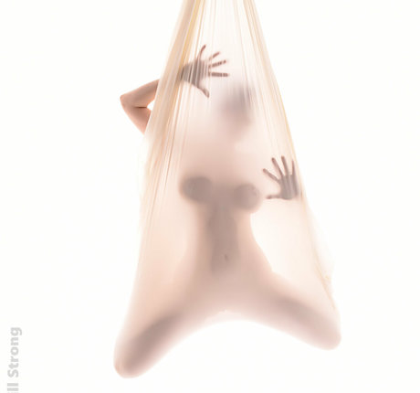 lobfree belle étoile collection