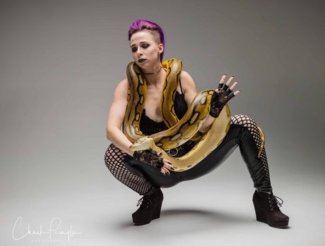 lobfree joli modèle galerie