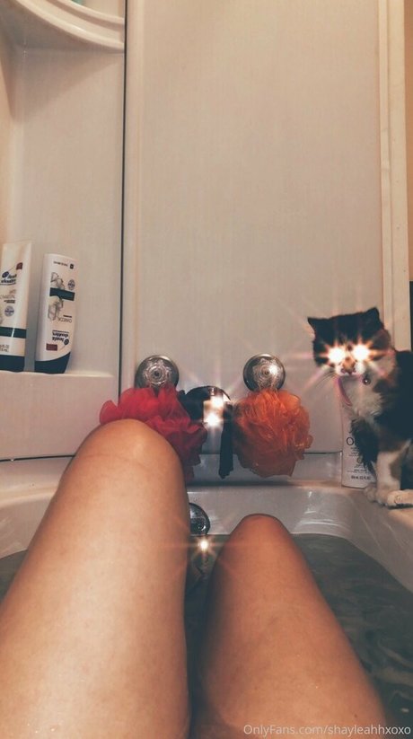 shayleahhxoxo modèle exclusif image