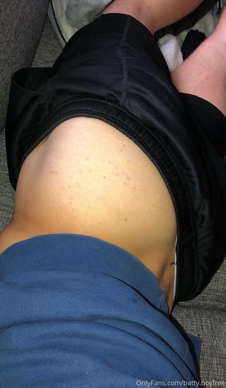 battyboyfree haut de star du porno photo