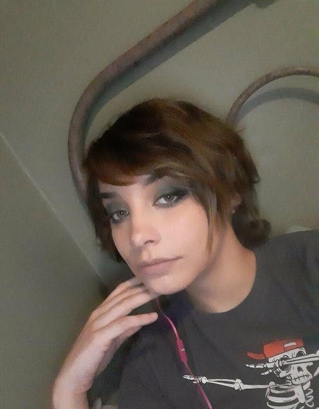 pink kunt nus étoiles photo