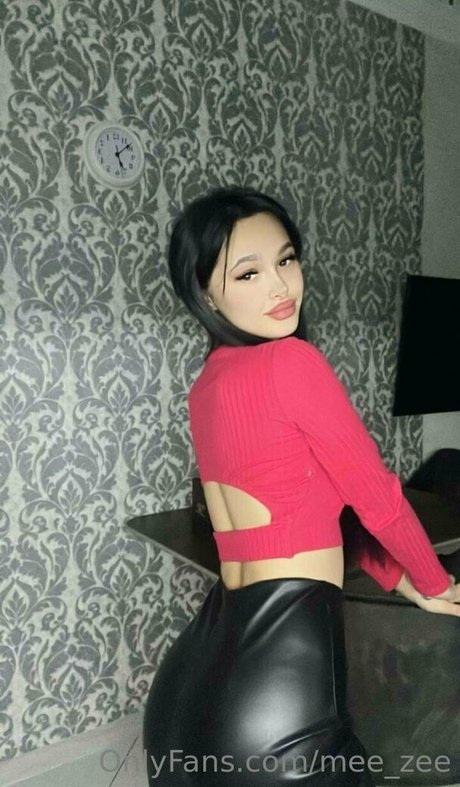 mee zee modèle galerie