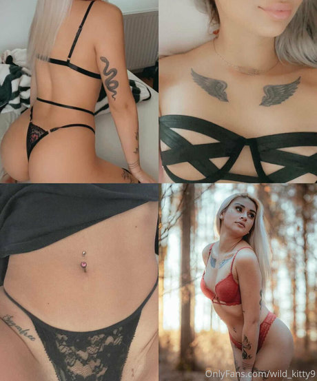 wild kitty9 art étoile des photos