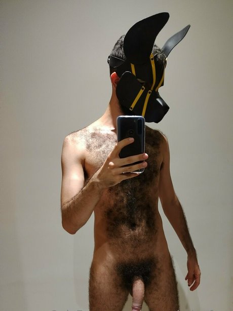 dogao belgafree nus star du porno collection