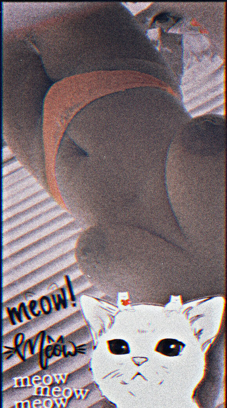 itsterrbear star du porno gratuite photos