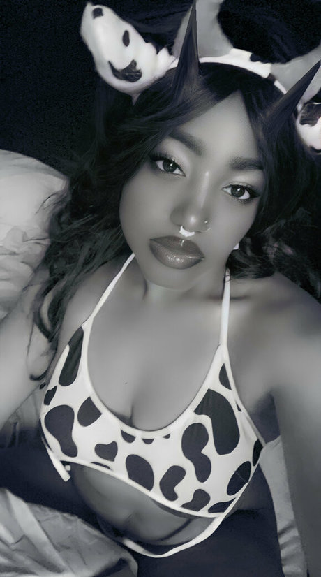 itsterrbear art étoile photos