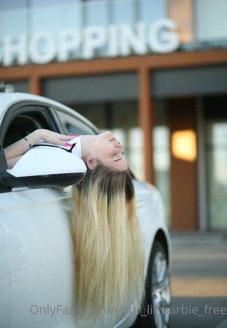 your stacy barbie étoile magnifique img