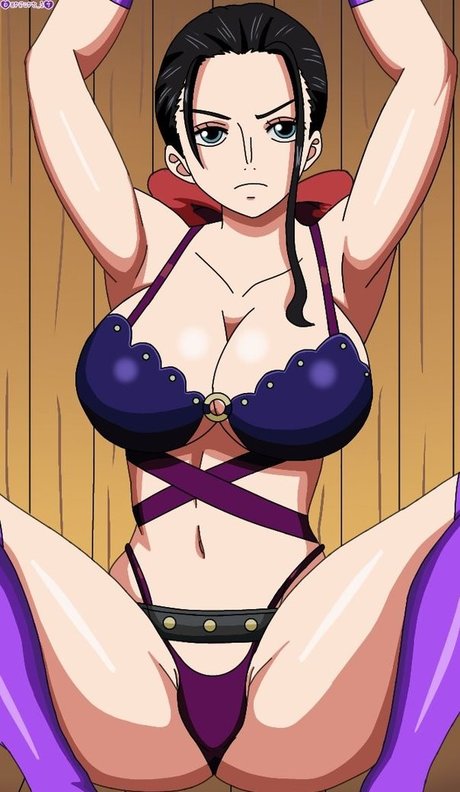 One Piece étoile hd galeries