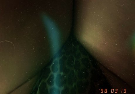 La Mala Rodriguez actrice collection