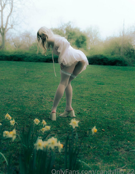 chloe ira haut de star du porno image