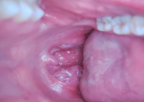 dana the lady vore modèle chaud images