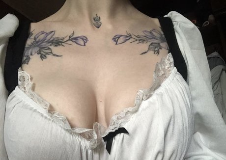 freyastein Profilfoto