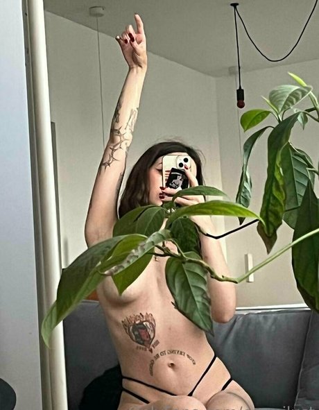 baby inky étoile images