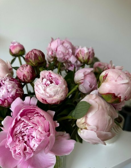 visage roux onlyfans sexe artistique images