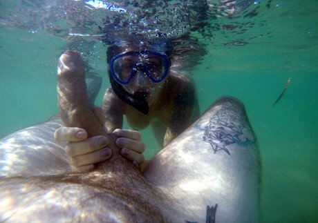 Morgana Soles étoile de haute qualité collection