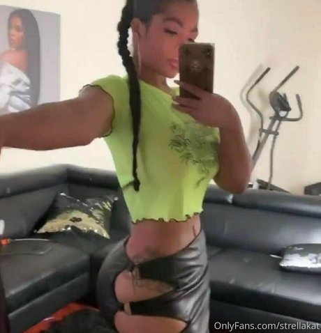 Strellakat actrice artistique galerie