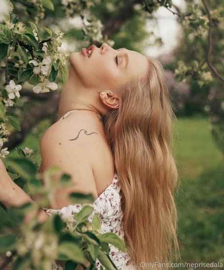 Lisa Barysheva art star du porno images