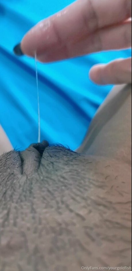 Yourgoldfish jolie étoile collection