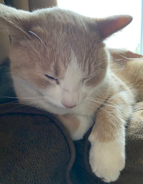 fans asiatiques mignons uniquement xxx nus des photos