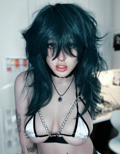 fans de cire uniquement art supérieur des photos