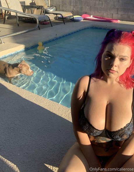 calierose modèle galerie