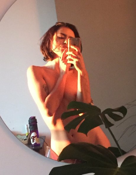 escobutt étoile magnifique image