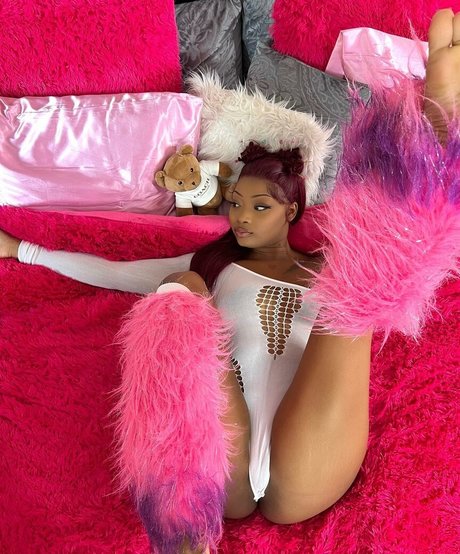 Daalischus étoile chaude images