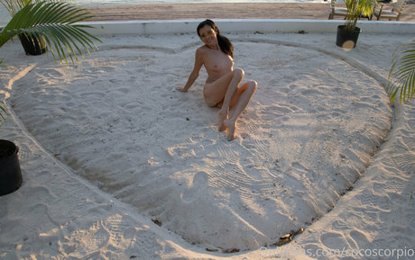 Cocoscorpio étoile gratuite collection