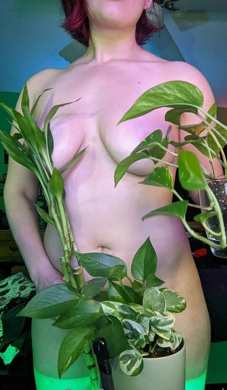 baeged star du porno nue collection